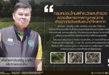 กรมหม่อนไหม