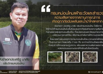 กรมหม่อนไหม
