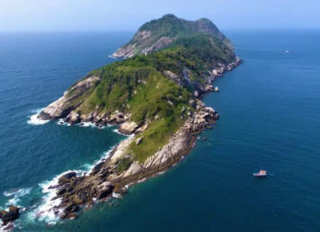 เกาะอสรพิษ บราซิล งูโกลเดนแลนซ์เฮด