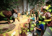 SX Marketplace และ SX Kid Zone