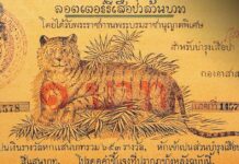 ลอตเตอรี่เสือป่าล้านบาท ลอตเตอรี่ ยุครัชกาลที่ 6