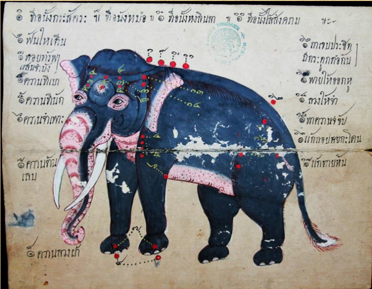 ช้าง 4 ตำแหน่งนั่งหลังช้าง