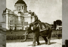 ช้างเผือก รัชกาลที่ 7 ช้างเผือกรัชกาลที่ 1-7