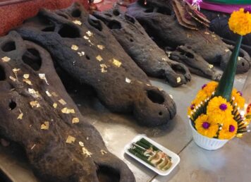 หัวจระเข้ ศาลเจ้าพ่อหลักเมือง เมืองพระประแดง