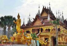 วัดป่าเจ เชียงรุ่ง สิบสองปันนา ชาวไทลื้อ ประเทศจีน ชาวไทลื้อในสิบสองปันนา