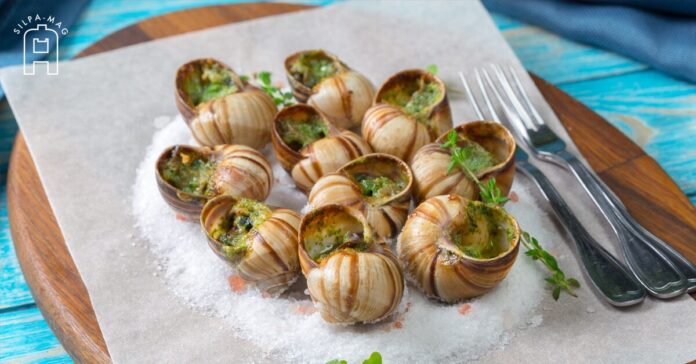 แอ็สการ์โก Escargot