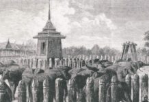 ช้างป่าต้น คนสุพรรณ