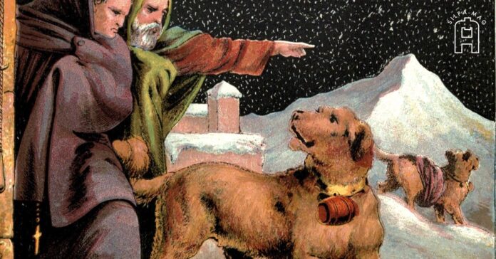sbn เซนต์เบอร์นาร์ด (Saint Bernard)