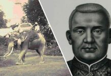 รัชกาลที่ 3 ช้างแก้ว ช้างเผือก รัชกาลที่ 3 กษัตริย์ผู้ปราศจากช้างเผือก