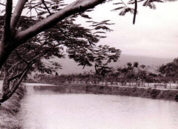 คูเมืองเชียงใหม่ ประกอบ คูเมือง-กำแพงเมือง
