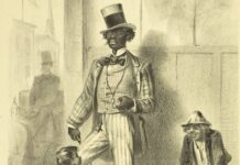 Black Dandyism