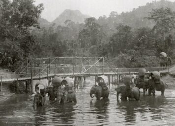 อำเภอหลังสวน ชุมพร