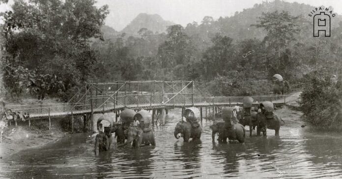 chum อำเภอหลังสวน ชุมพร