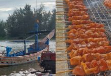 เรือกอและกับไก่กอและ