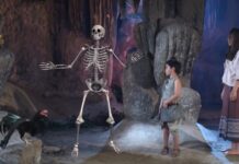 น้าผี นางสิบสอง สามเศียร