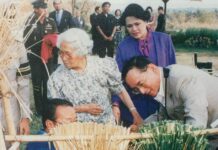 “เช็ดหีบพระศพ” วัตรประจำของในหลวงรัชกาลที่ 9 ในพระราชพิธีพระบรมศพ “สมเด็จย่า” เช็ดหีบพระศพ
