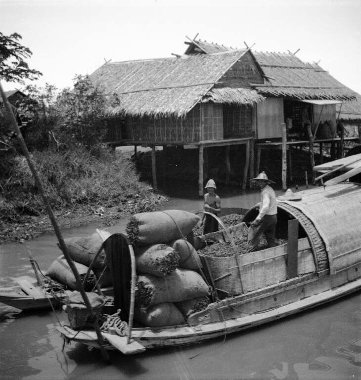 เรือ บรรทุก พริก คลองดำเนินสะดวก