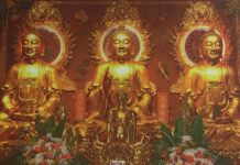พระพุทธเจ้า 3 องค์ พระประธาน อุโบสถ วัดมังกรกมลาวาส พระอมิตาภะ พระศากยมุนี พระไภษัชยคุรุ ประกอบเรื่อง พระหมอยา