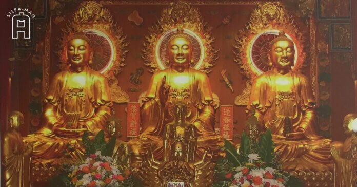 Cover photo พระพุทธเจ้า 3 องค์ พระประธาน อุโบสถ วัดมังกรกมลาวาส พระอมิตาภะ พระศากยมุนี พระไภษัชยคุรุ ประกอบเรื่อง พระหมอยา