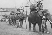 รู้จักทนาย 4 ประเภทในอดีต นอกเหนือจาก “ทนาย” ผู้ว่าต่างแทนคู่ความ อย่างปัจจุบัน ทนายปืน ช้างศึก ประกอบเรื่อง ทนายความ