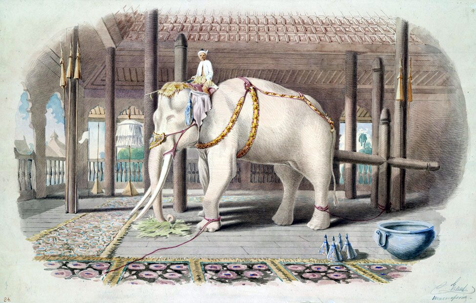 ช้างเผือก พระราชวังอมรปุระ
