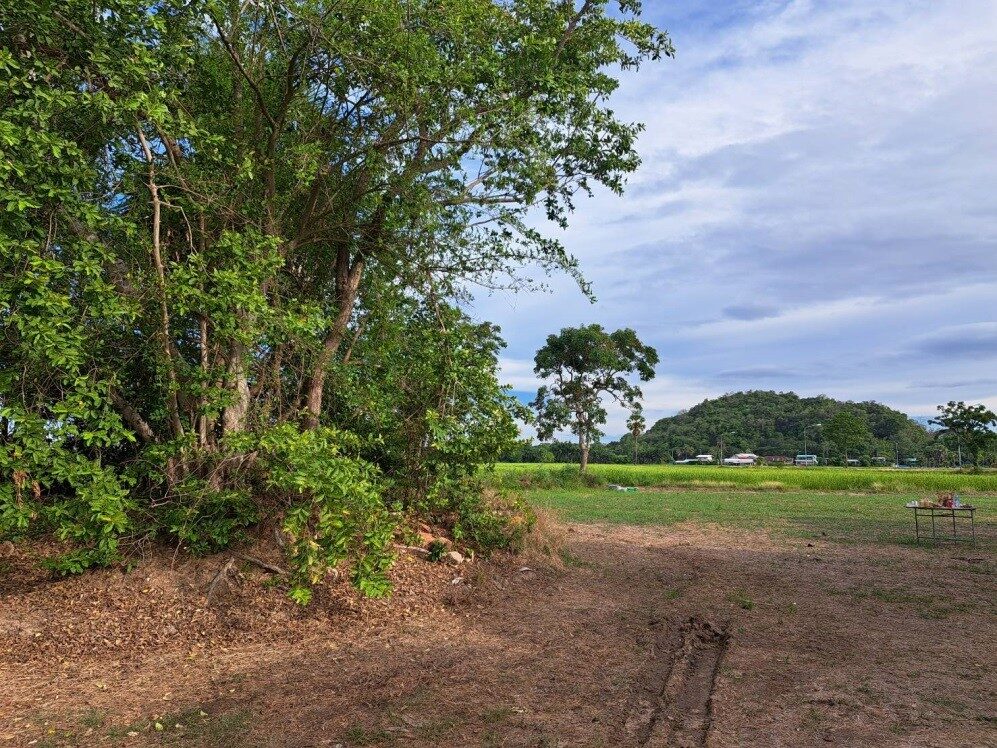 เนินอิฐเก่าสมัยทวารวดีบริเวณขุดค้น
