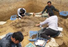 พลังท้องถิ่นหนุนขุดค้น กลองมโหระทึก เมืองเพชรบุรี