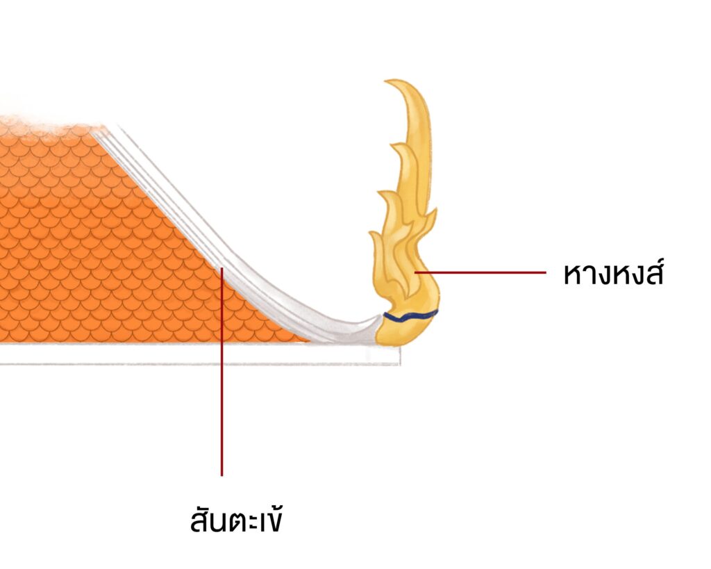 สันตะเข้ หางหงส์