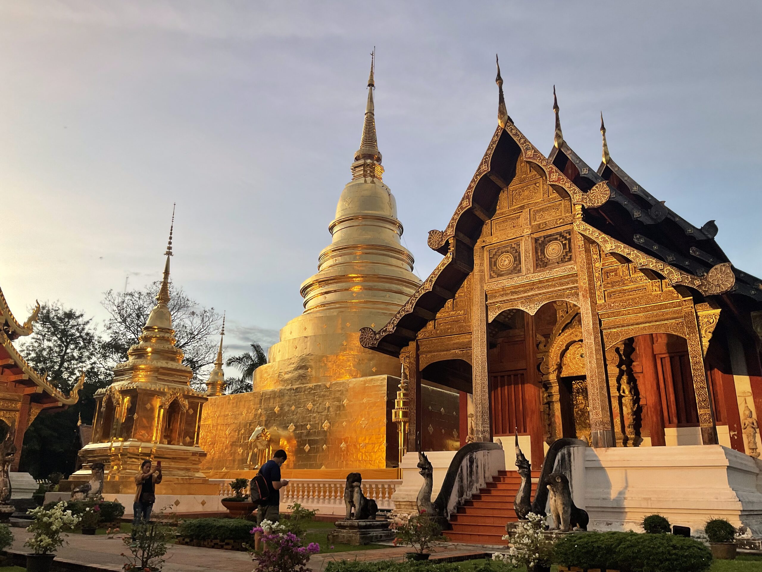 วัดพระสิงห์วรมหาวิหาร เจดีย์สีทอง มีพระอุโบสถอยู่เบื้องหน้า มีกระถางดอกไม้ริมทางเดิน